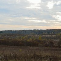 Печальная акварель пасмурного октября. :: Алексей К