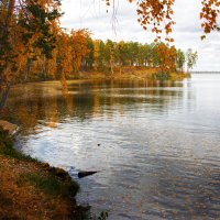 Золото осени :: Юрий Епифанцев