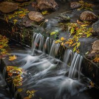 Осенний беспорядок.)) :: Александр Рамус