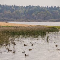 Осень :: Татьяна Огаркова