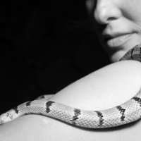 Snakes & Rock-n-roll 5 :: Алина Ясмина (J.D.-Ray)
