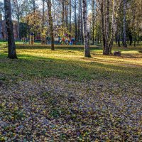 Осень в парке :: Владимир Буравкин