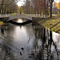 В парке :: Грачева Ольга 