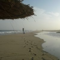 Октябрьская тунисская рыбалка :: nataliy ....