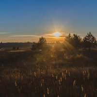 Эх красота :: Анатолий Портнов