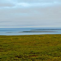 берег Баренцева моря :: Владимир 