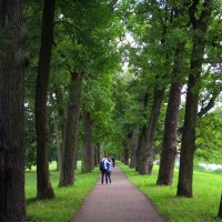 Романтическая прогулка (Санкт-Петербург, Царское Село) :: Павел Зюзин