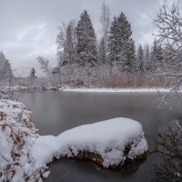 *** :: Дамир Белоколенко