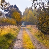 Осенняя дорога к старому хутору :: Виталий Латышонок