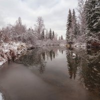 *** :: Дамир Белоколенко