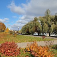 Городская осенняя прогулка.. :: Юрий Анипов 