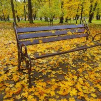Жёлтый лист на скамейку ложится. Дарит Осень подарки свои ......... :: **Татьяна* *