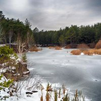 лесное озеро :: Натали Акшинцева