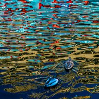 осенние краски на воде :: MVMarina 
