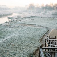 Cold morning in the city park :: Николай Н