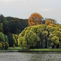 Островок осени. (2) :: Маргарита ( Марта ) Дрожжина