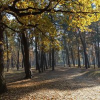 Погожий осенний день :: Владимир Бровко