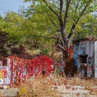 В парке :: Константин Бобинский