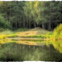 зарисовка :: Натали Акшинцева