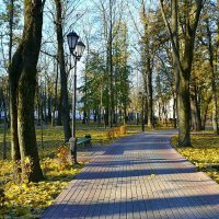 Осень в городе :: Милешкин Владимир Алексеевич 