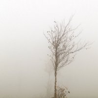 Туманный Альбион: Одиночество :: Дмитрий Сорокин