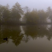 Туман: Озерко :: Дмитрий Сорокин