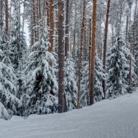 *** :: Андрей Дорожкин