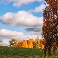 Золото осени на косогоре :: Ирина Приходько