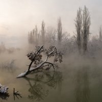 Солнечный остров :: Александр Плеханов