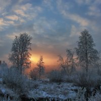 в начале зимы (кадрирование) :: Шаман 