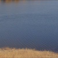 Воды голубого Днепра в октябре :: Нина Корешкова