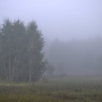 Сиреневый туман... :: Legeboka 