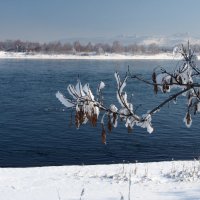 Над рекою Ангарой мерзнет ветка день-деньской... :: Александр Попов
