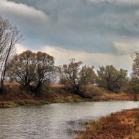 Когда роднится грусть с печалью... :: Лесо-Вед (Баранов)