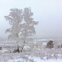 Туман и иней :: Анатолий Иргл