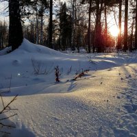 Снег :: Ксения Паращенко