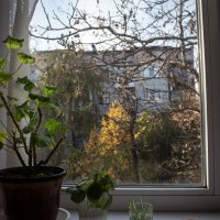 За окном. :: Сергей Касимов