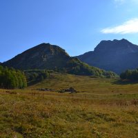 АЛЬПИЙСКИЕ ЛУГА :: Виктор Осипчук