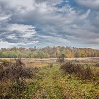 Через поле :: Владимир Самсонов