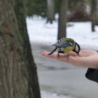 Парк культуры и отдыха им. М.Горького :: Наиля 