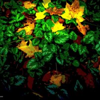 Осенние листья :: Nina Yudicheva