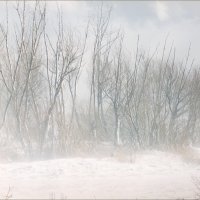 Снежный буран :: Сергей Стенников