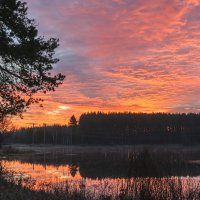 Восход :: Сергей Цегельник