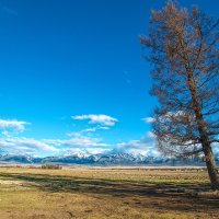 с. Курай , Горный Алтай :: Евгений Бойко