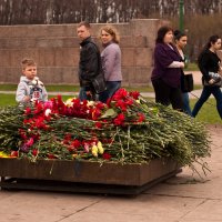 Вечный огонь... :: Елизавета Вавилова