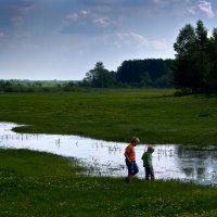 На  луговых просторах :: Владимир ЯЩУК