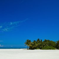 Карточка с Мальдив :: Виктор Бабинцев
