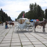 В ожидании Золушки :: Виктор Замулин