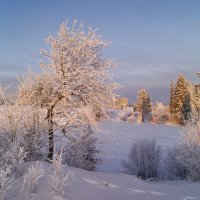 Немного сказки в нашей жизни )) :: Наталья Гжельская