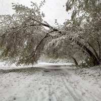 Бушующий май) :: Валентина Кобзева